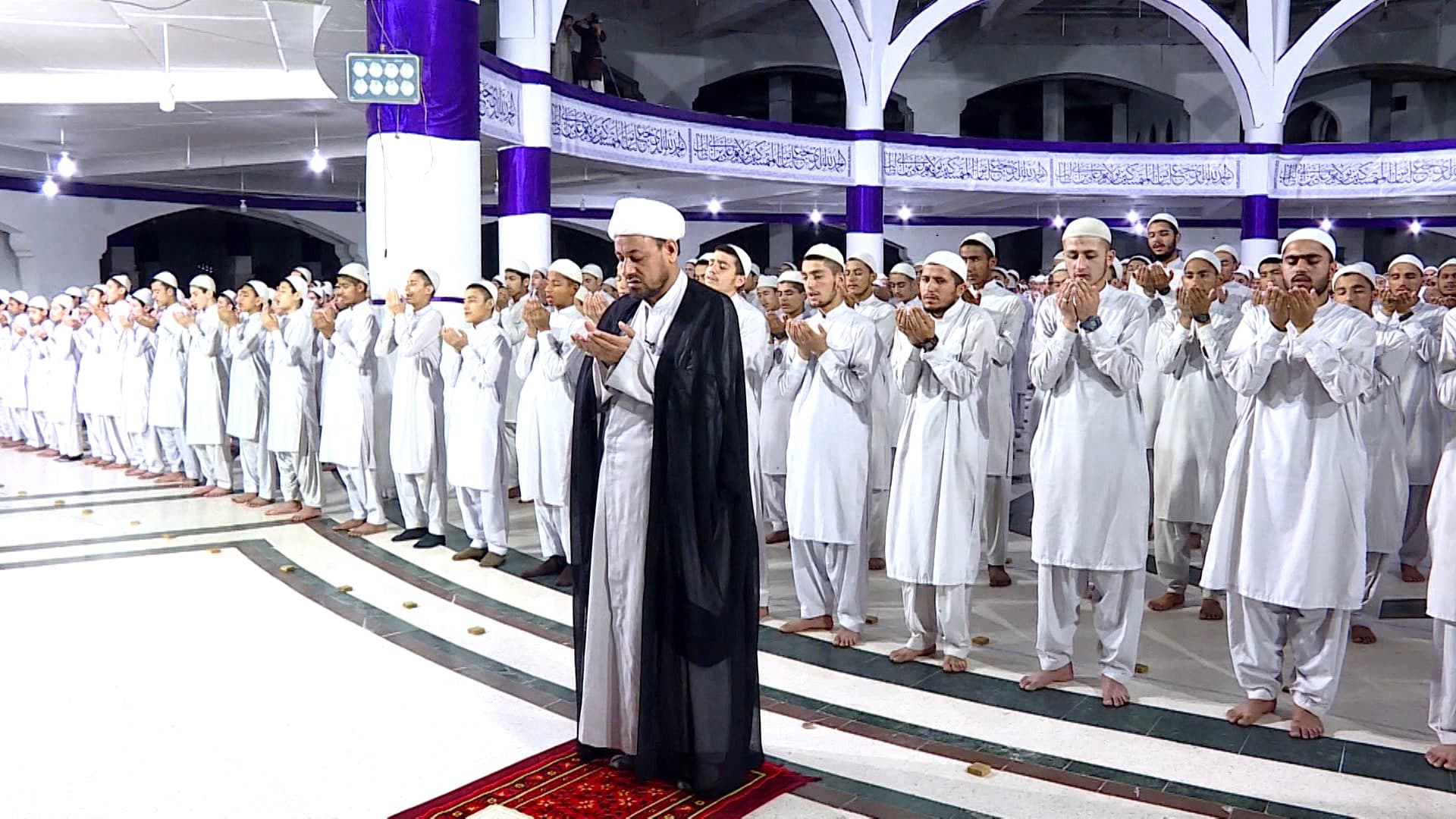 تمام تصاویر
